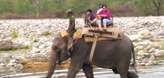 Elephant Safari online Booking
