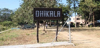 Dhikala Tourism Packages